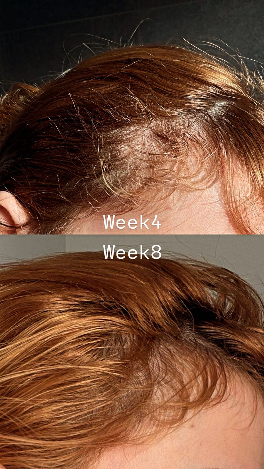 Natural Oils Infused Hair Masque